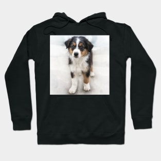 Copie de Puppy Hoodie